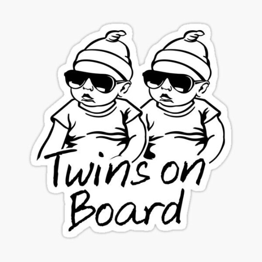 Twins on Board Sticker Hangover