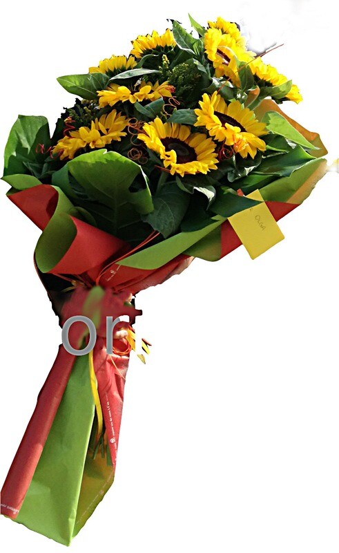 Mazzo Girasoli