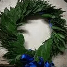 Coroncina Laurea