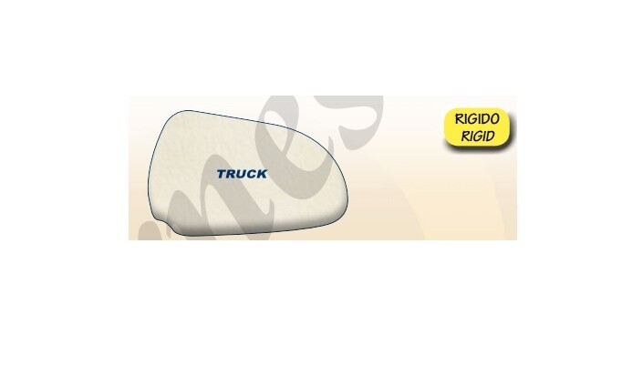 Coppia copripannelli portiera Tandem per Scania Serie R e G/R Streamline dal 2013