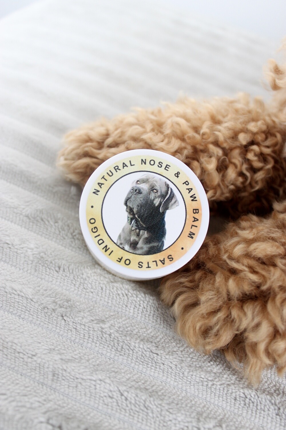 Nose &amp; Paw Balm