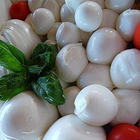 Bocconcini di Mozzarella Produzione Artigianale San Pietro e Paolo Pezzi da 50 gr Confezione da 1 kg
