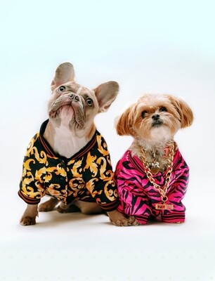 Pet Clothes