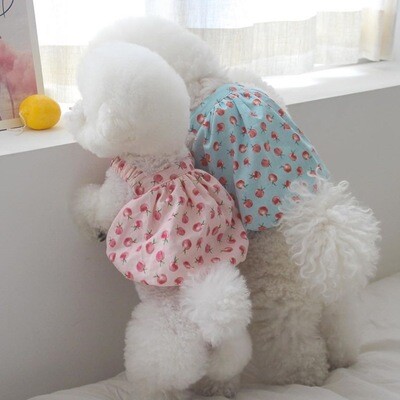 &quot;Chloe&quot; Cute Peach Bubble Pet Clothes