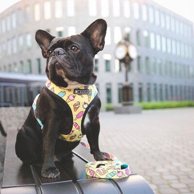 &quot;Sammy&quot; Popsicles&#39;n&#39;Unicorns Cheerful Pet Harness and Leash Set