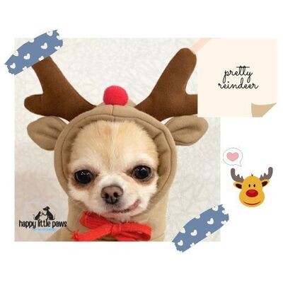 &quot;Daisy&quot; Cute Clothing Items