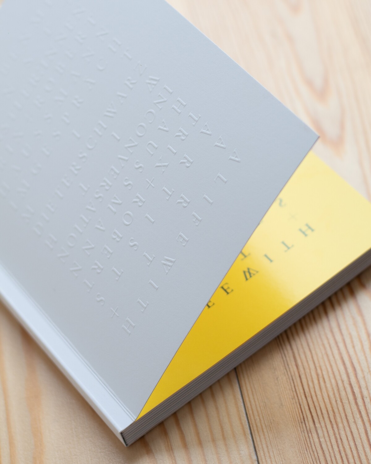 TRIX + ROBERT HAUSSMANN: A LIFE WITH ART AND ARTISTS