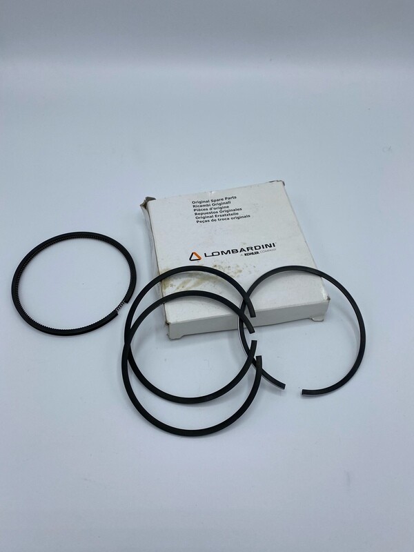 SERIE FASCE 8210055