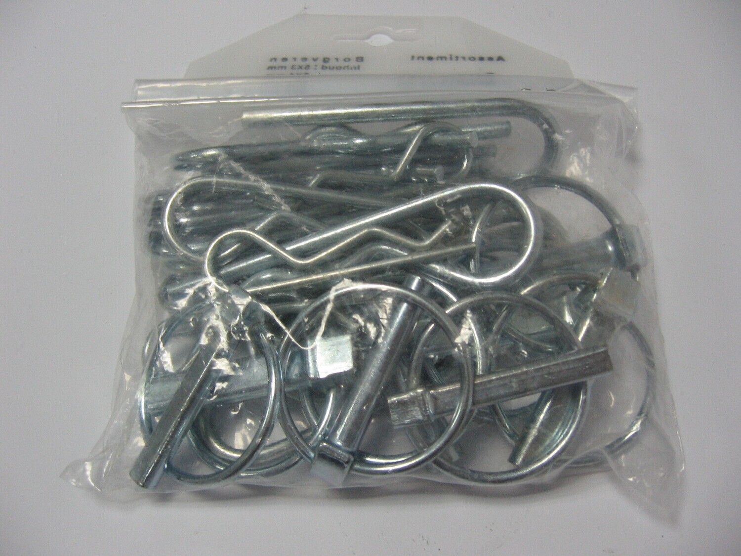 COPPIGLIE+SPINE A SCATTO