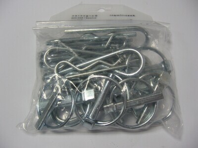 COPPIGLIE+SPINE A SCATTO