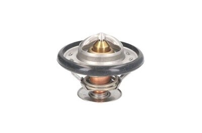 TERMOSTATO 0.900.7862.1 TERMOSTATO 0.900.7862.1