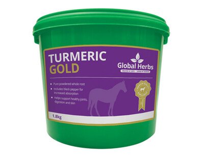 Global Herbs Turmeric GOLD