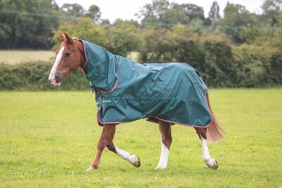 Shires Typhoon Lite Combo Turnout Rug