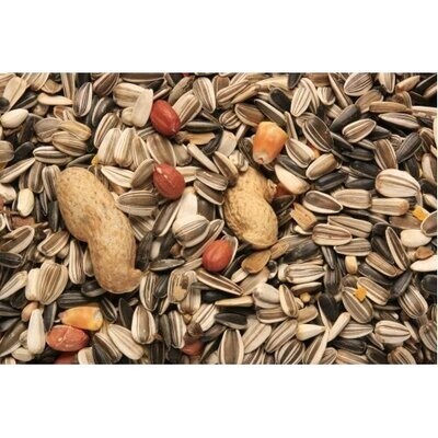 SkyGold Special Parrot Cage & Aviary Seed Mix