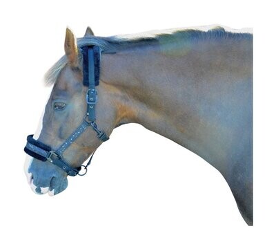 Hy Equestrian Dazzle Head Collar