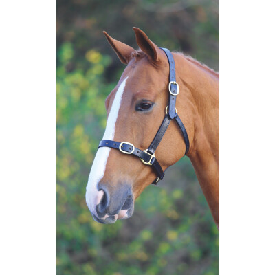 Shires Leather Head Collar