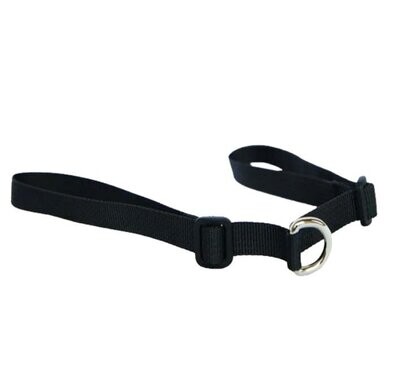 Point Two Saddle Strap