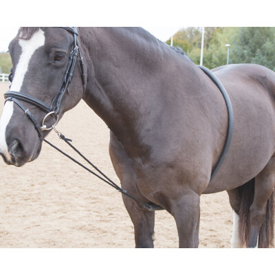 Soft Lunging Aid