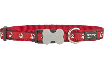 Red Dingo Patterned Collar