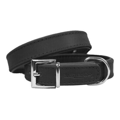 Earthbound Oakland Leather Collar