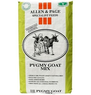 Small Holders Pygmy Goat Mix