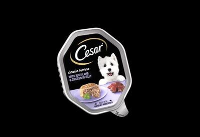 CESAR® Classic Terrine with Juicy Lamb & Chicken in Jelly, Tray 150g