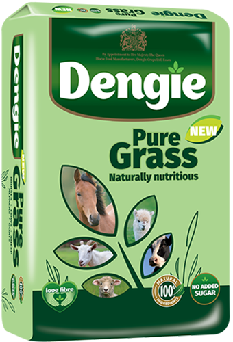 Dengie Pure Grass 15kg