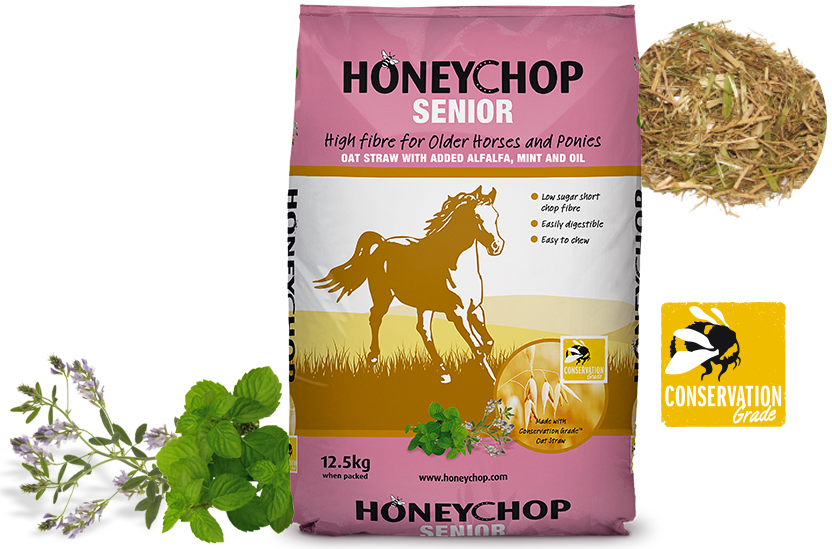 Honeychop Senior