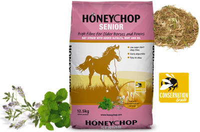Honeychop Senior