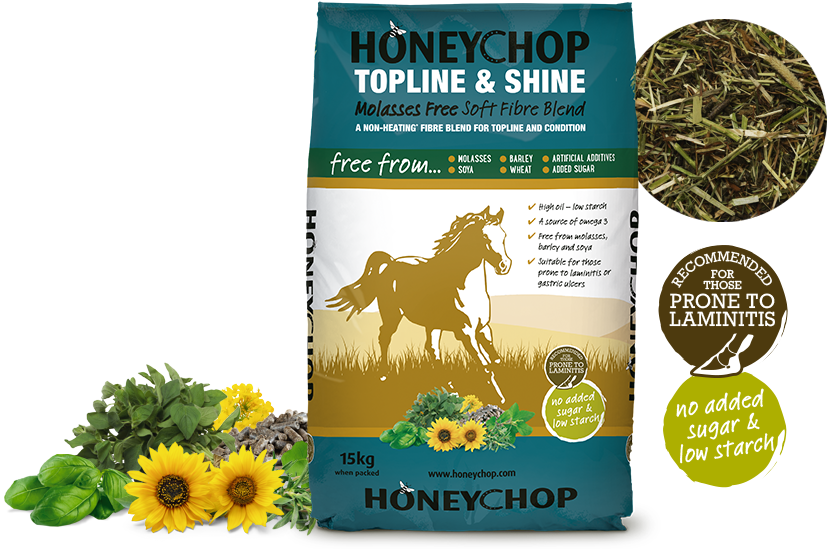 Honeychop Top line And Shine