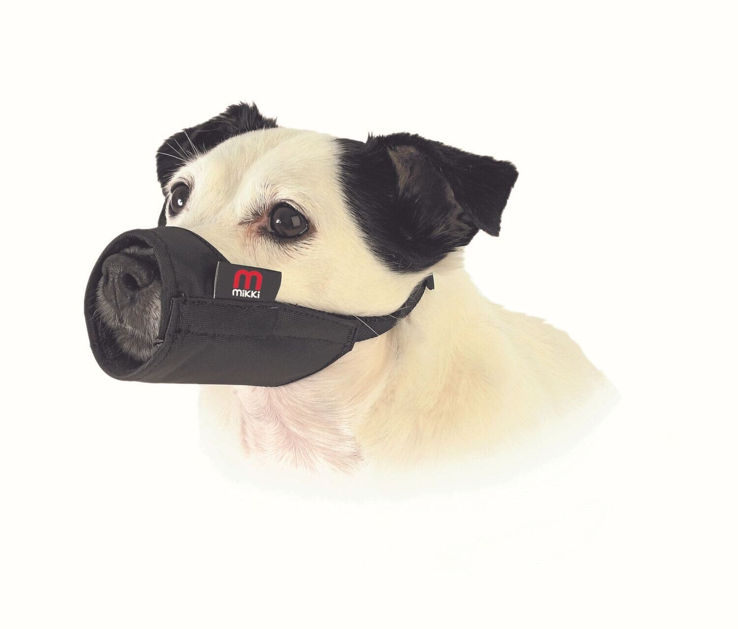 Lightweight 2024 dog muzzle