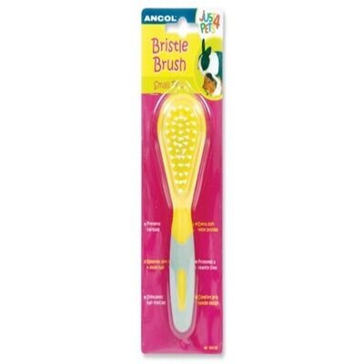 Ancol Small Animal Bristle Brush
