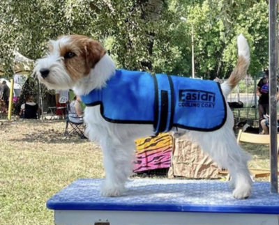 Easi-Dri Cooling Dog Coat