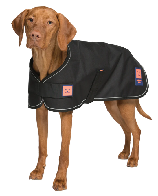 Ginger Ted Shower Dog Coat