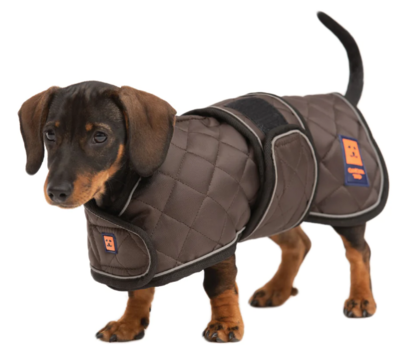 Thermal Harness Dachshund Quilted Coat