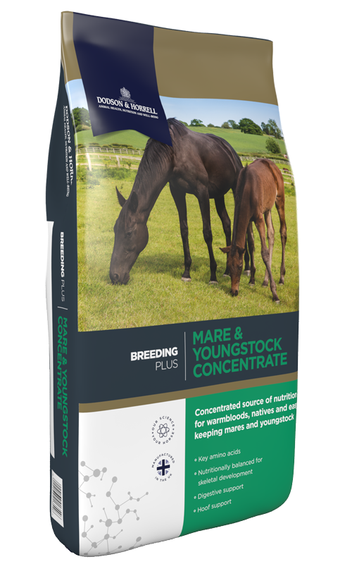 Dodson & Horrell Mare & Youngstock Concentrate