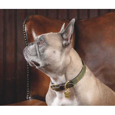 Shires Digby & Fox Tweed Dog Collar