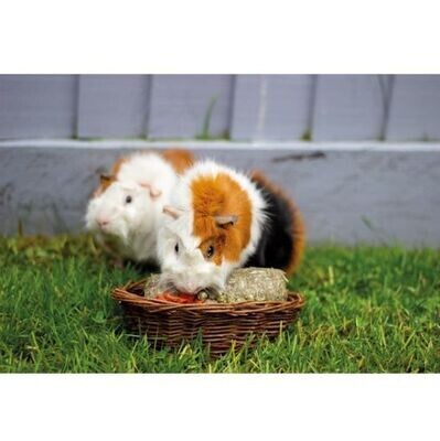 Naturals Willow Treat Basket for Small Animals
