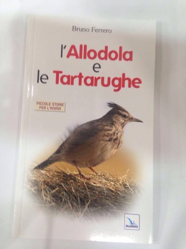 LIBRO L'ALLODOLA E LE TARTARUGHE