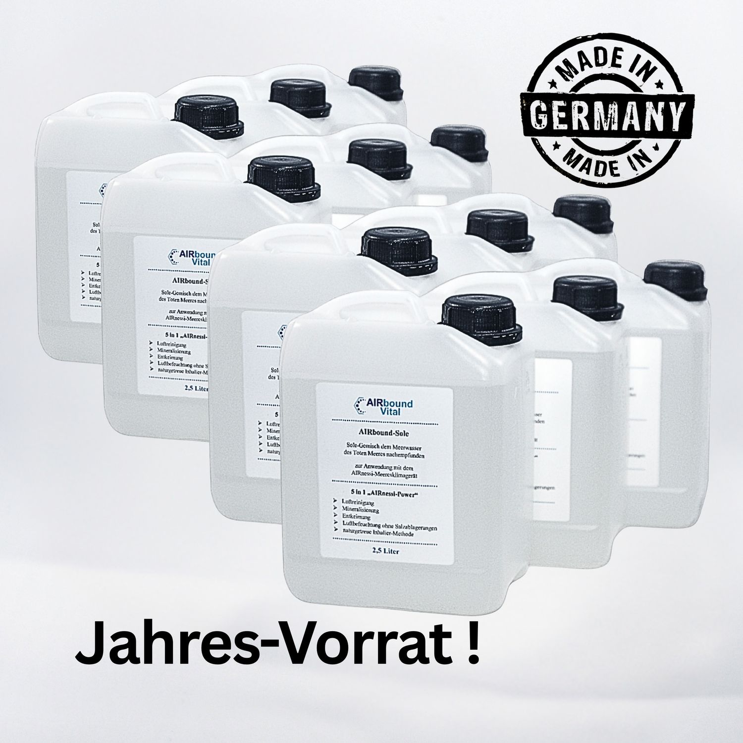 Totes-Meer-Sole 12er-Jahrespaket Totes-Meer-Sole 12er-Jahrespaket