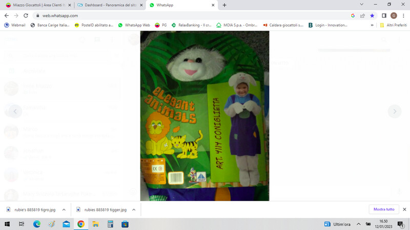 COSTUME CONIGLIETTA