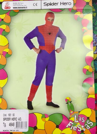 COSTUME SPIDER HERO