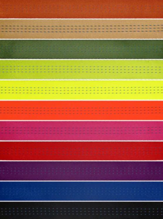 Webbing - For Adventure and Team Building