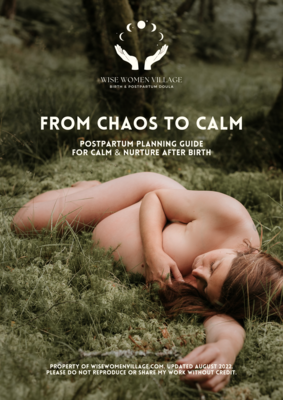 From Chaos to Calm: Postpartum planning guide
