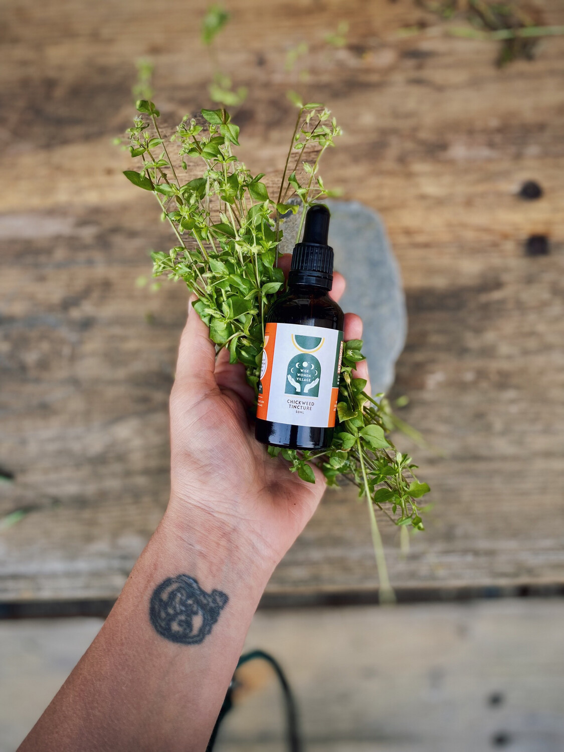 Chickweed Tincture
