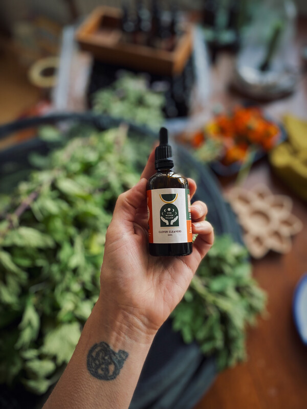 Cleavers Tincture