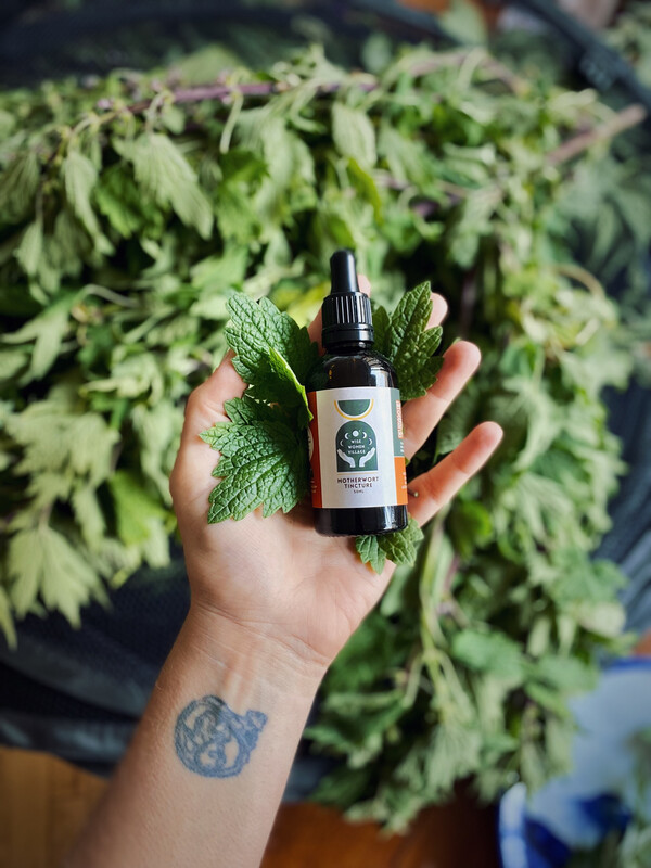 Motherwort Tincture
