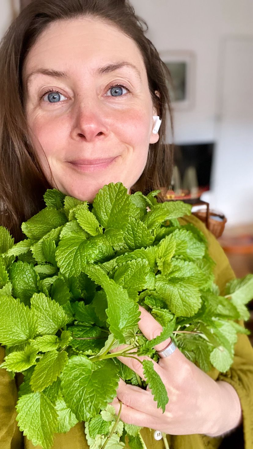Lemon Balm Hydrosol