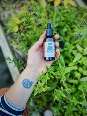 Skullcap Tincture