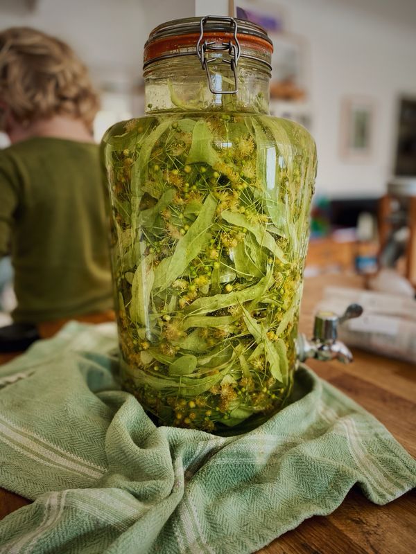 Lime Flower Tincture